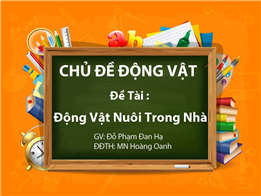 Động Vật Nuôi Trong Nhà