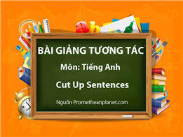 Cut Up Sentences