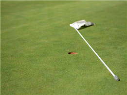 Lá cờ trên sân golf