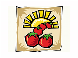 Trái cà chua và mặt trời