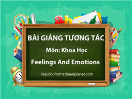 Feelings And Emotions