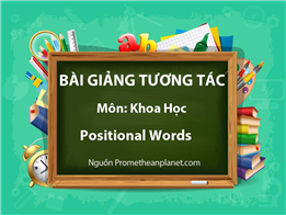 Positional Words