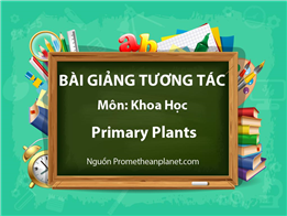 Primary Plants