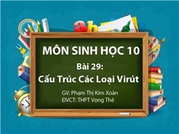 Cấu Trúc Các Loại Virút