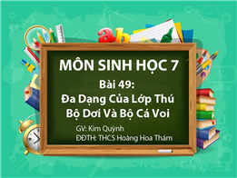 Đa Dạng Của Lớp Thú. Bộ Dơi Và Bộ Cá Voi