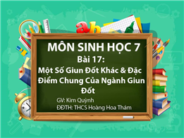 Một Số Giun Đốt Khác & Đặc Điểm Chung Của Nghành Giun Đốt