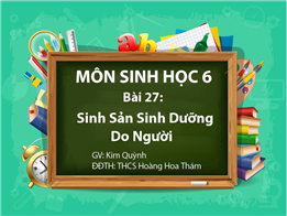 Sinh Sản Sinh Dưỡng Do Con Người