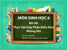 Thực Vật Góp Phần Điều Hòa Không Khí