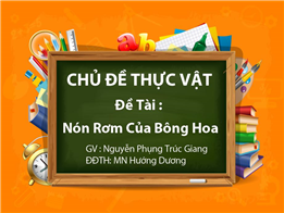 Nón Rơm Của Bông Hoa