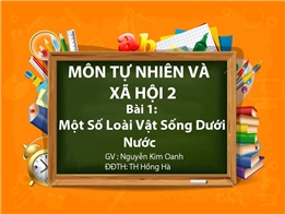 Một Số Loài Vật Sống Dưới Nước