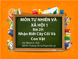 Nhận Biết Cây Cối Và Con Vật