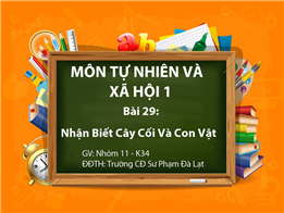 Nhận Biết Cây Cối Và Con Vật