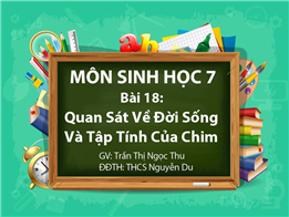 Quan Sát Về Đời Sống Và Tập Tính Của Chim