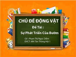 Sự phát triển của Bướm