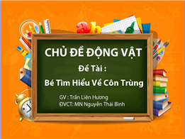 Bé tìm hiểu về côn trùng