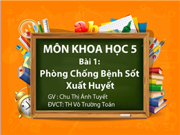 Phòng chống bệnh sốt xuất huyết