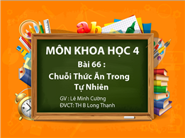 Chuỗi thức ăn trong tự nhiên