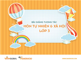 Bề mặt lục địa (Tiếp theo)